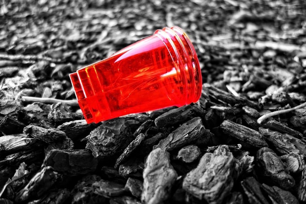 Impact des pratiques culturelles sur l'environnement